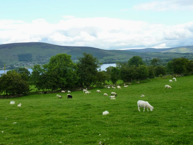 Dublin downtown und Fahrt in die Berge