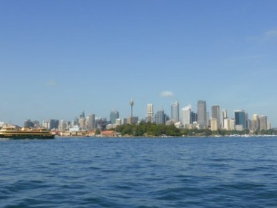 Wilde Feiern und wilde&nbsp;Tiere