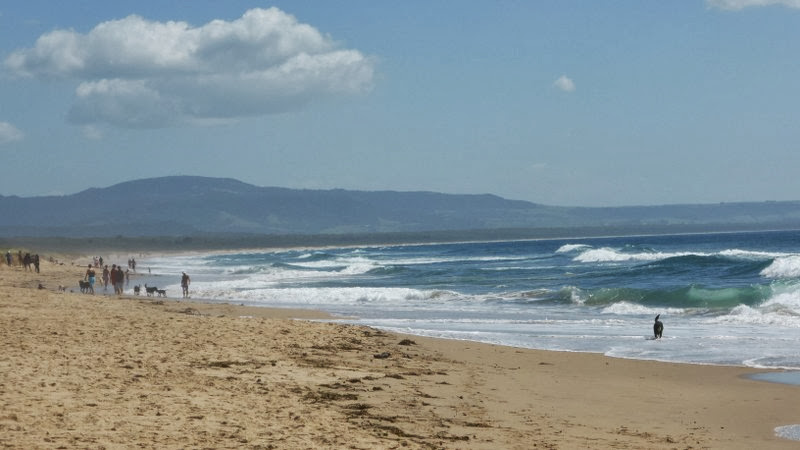 Road Trip – Grand Pacific&nbsp;Drive