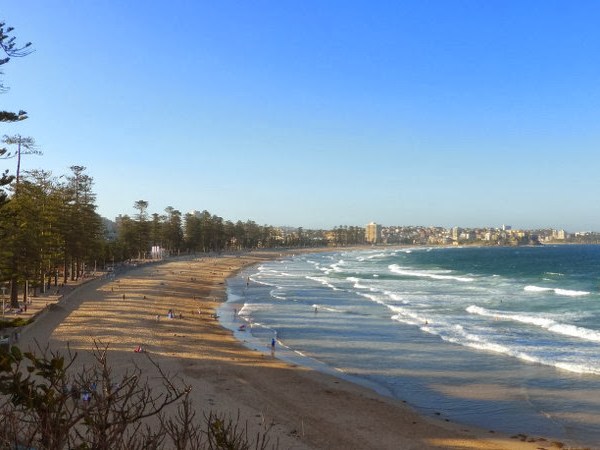 Der ganz normale&nbsp;Wahnsinn