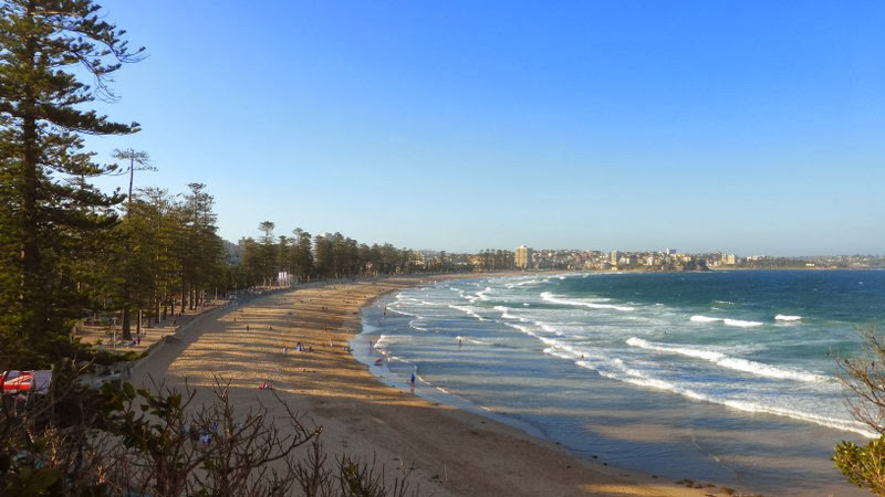 Der ganz normale Wahnsinn