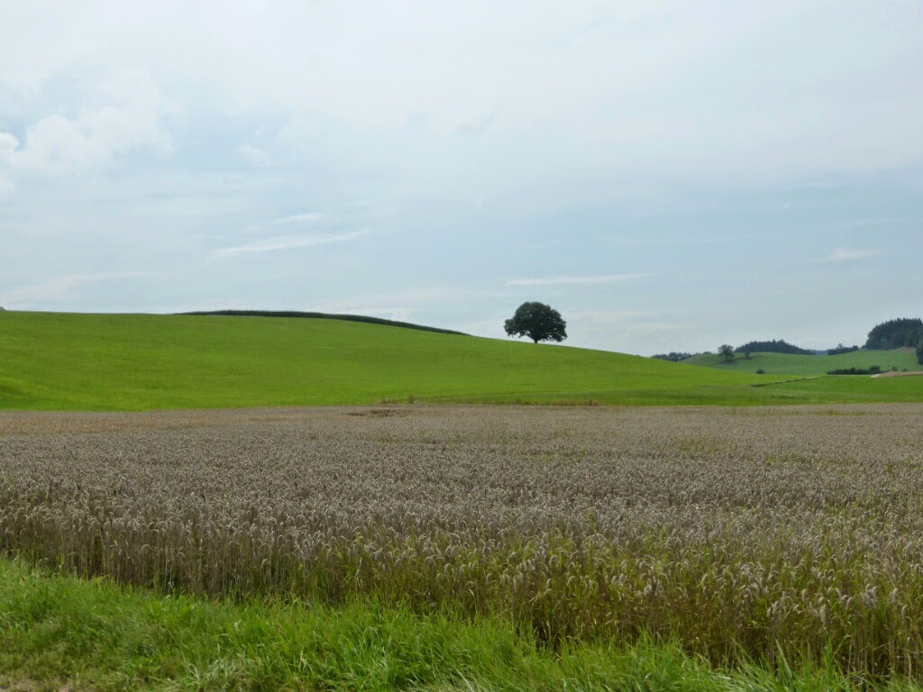 Etappe 7 – Von Nußdorf nach&nbsp;Waldkraiburg