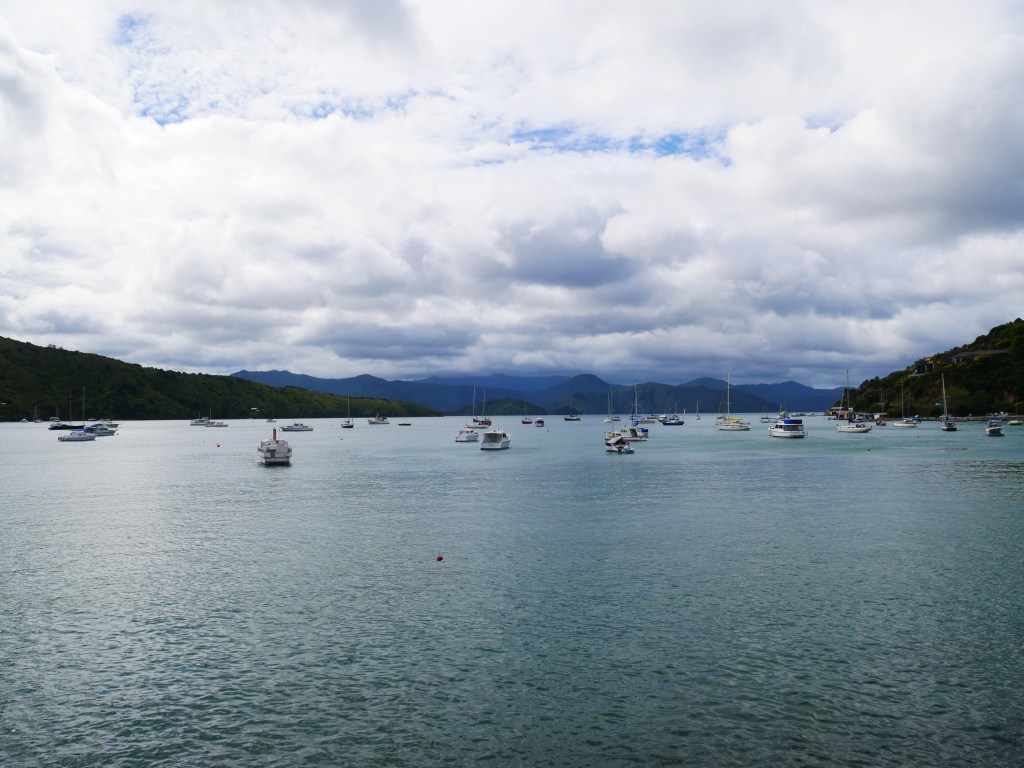 Immer eine Weinlänge&nbsp;voraus