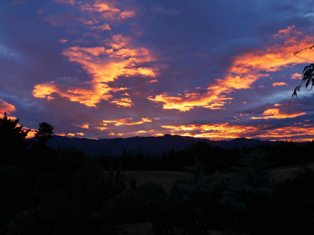 Blutorange im Wolkenbad