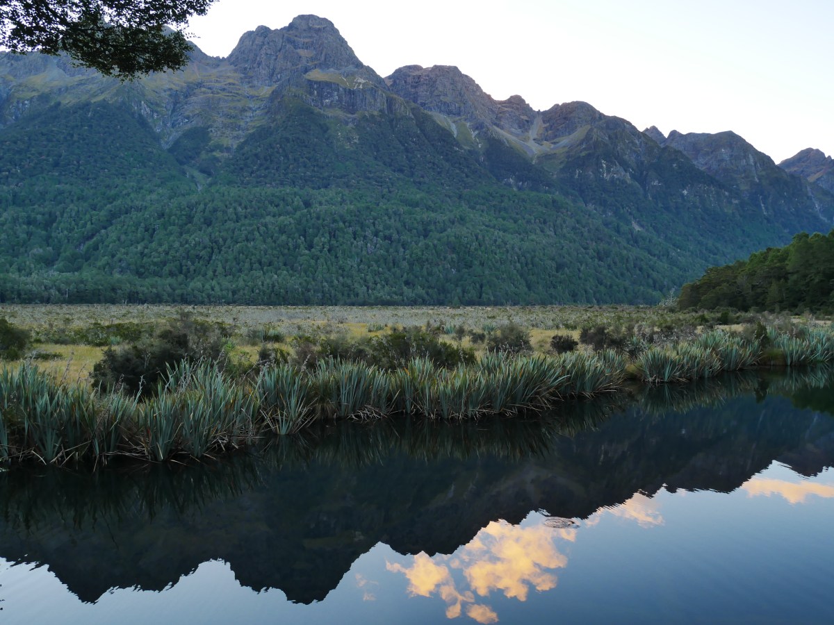 Beulenpest und Glückssträhnen