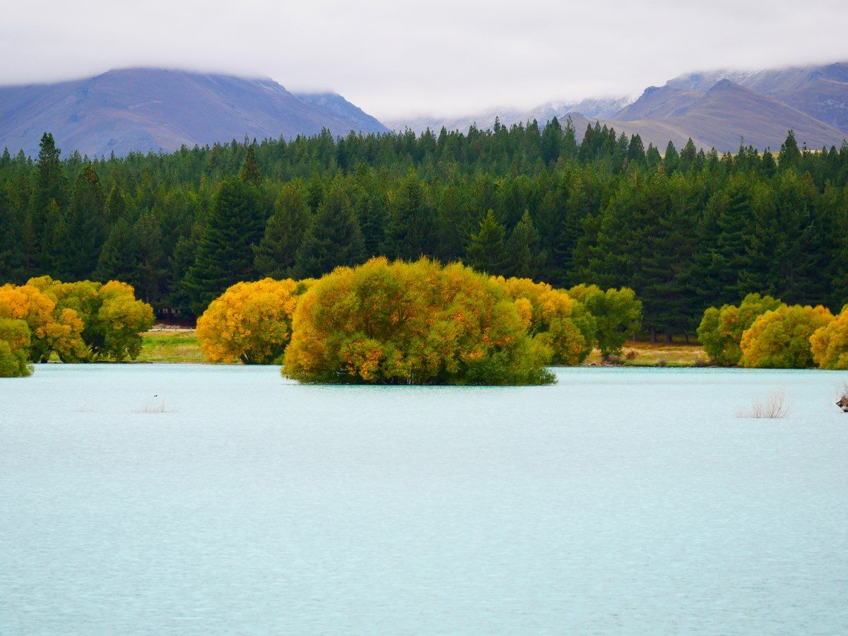 Tschö mit ö und tschüss mit&nbsp;üss