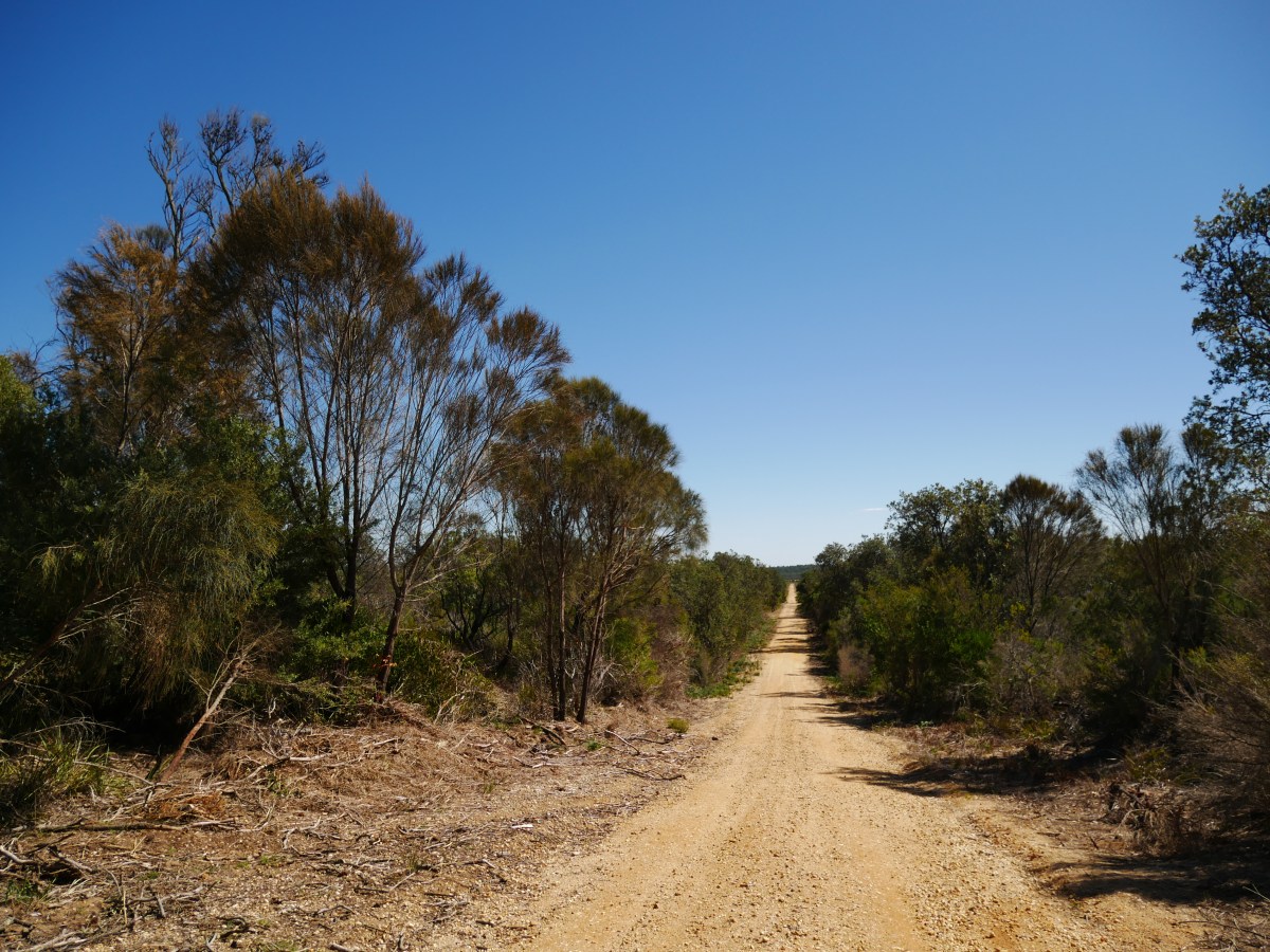 On the road&nbsp;again