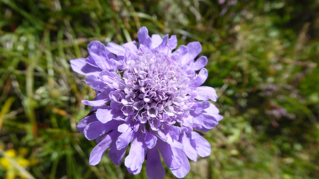 Crashtest in den&nbsp;Bergen