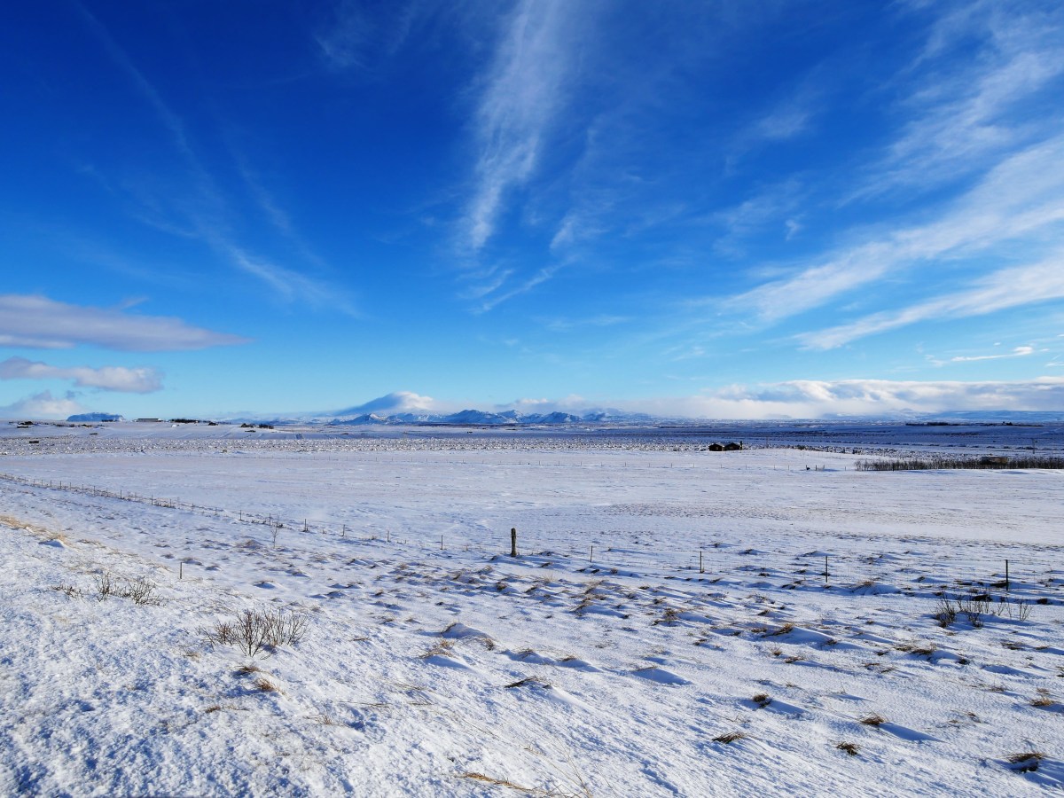 Ab in den&nbsp;Süden…