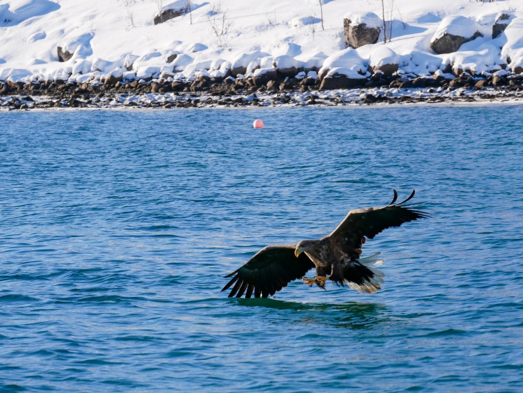 Catch of the day – der Fang des&nbsp;Tages