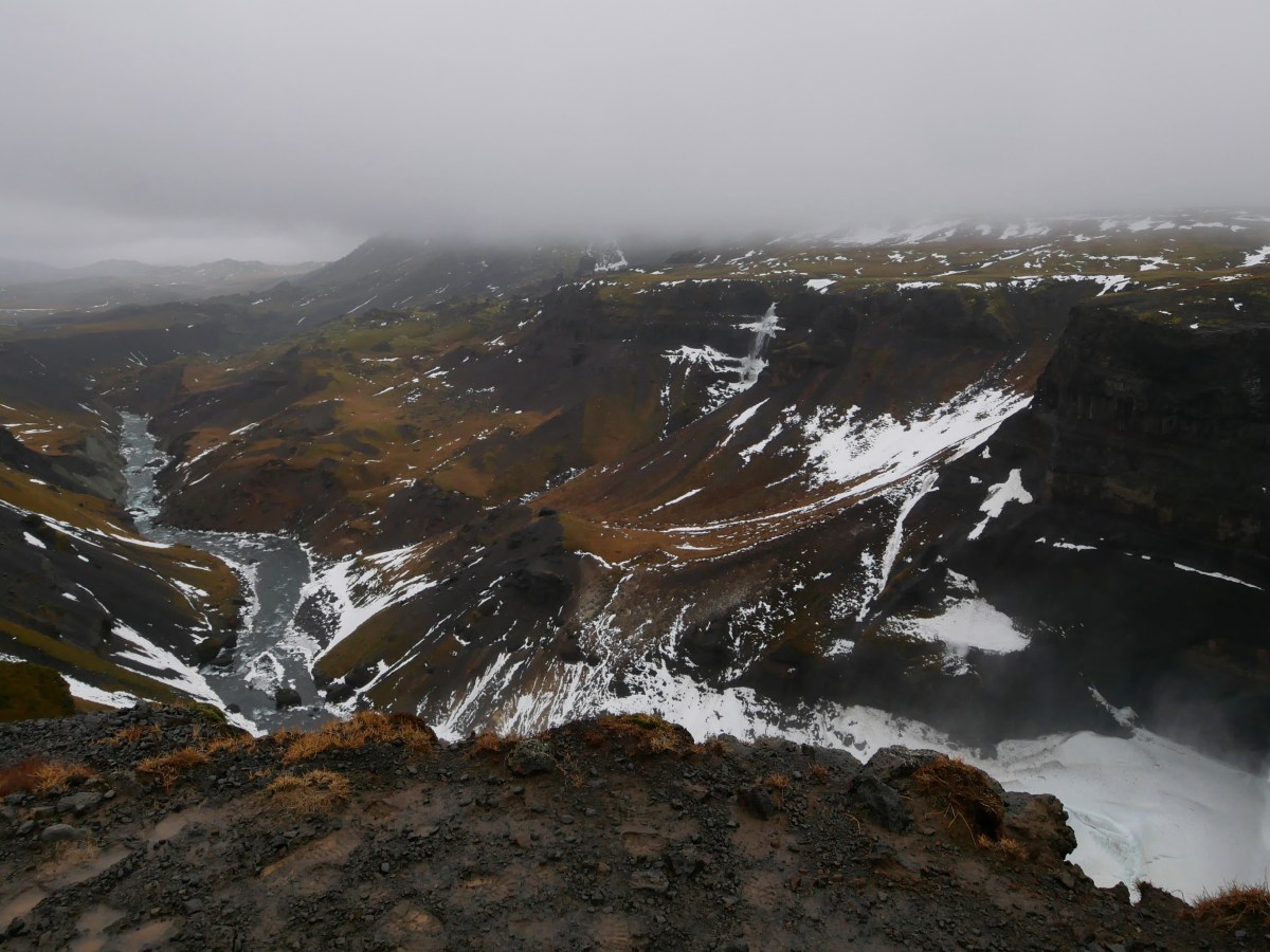 Von Haien und&nbsp;Omas