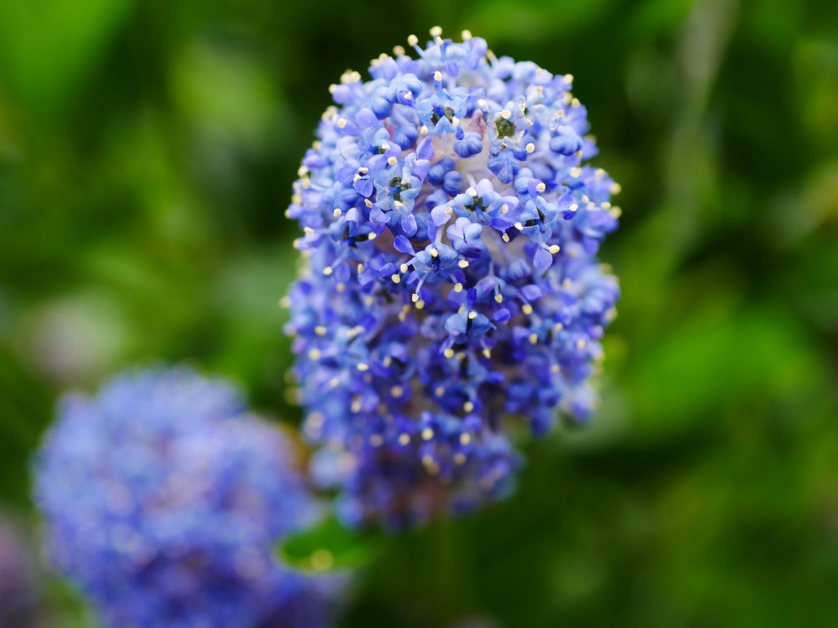 Farbbomben im trüben&nbsp;Grau
