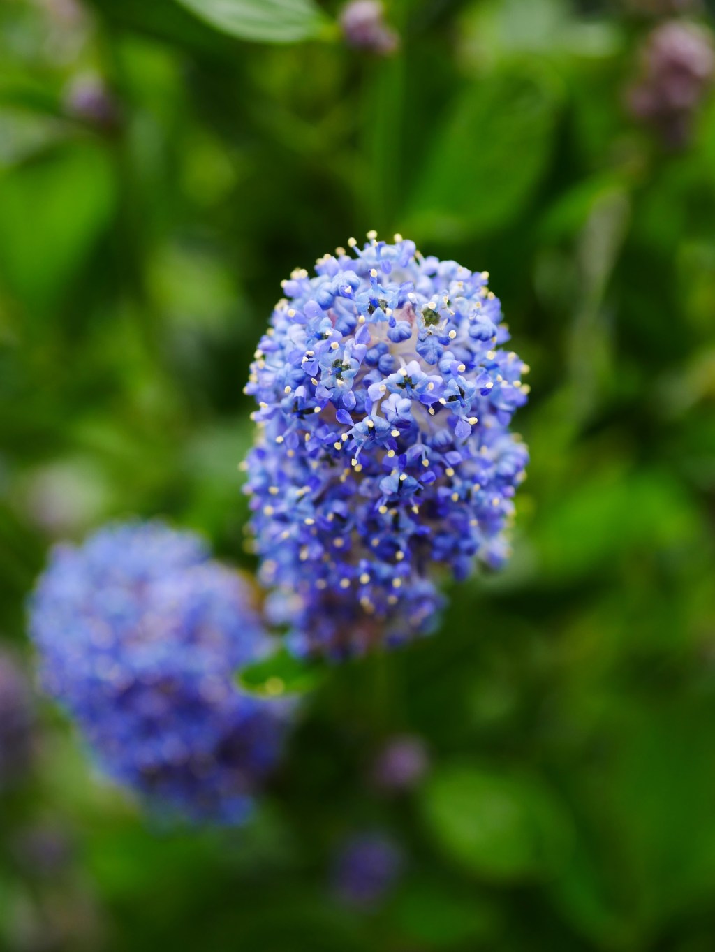 Farbbomben im trüben&nbsp;Grau