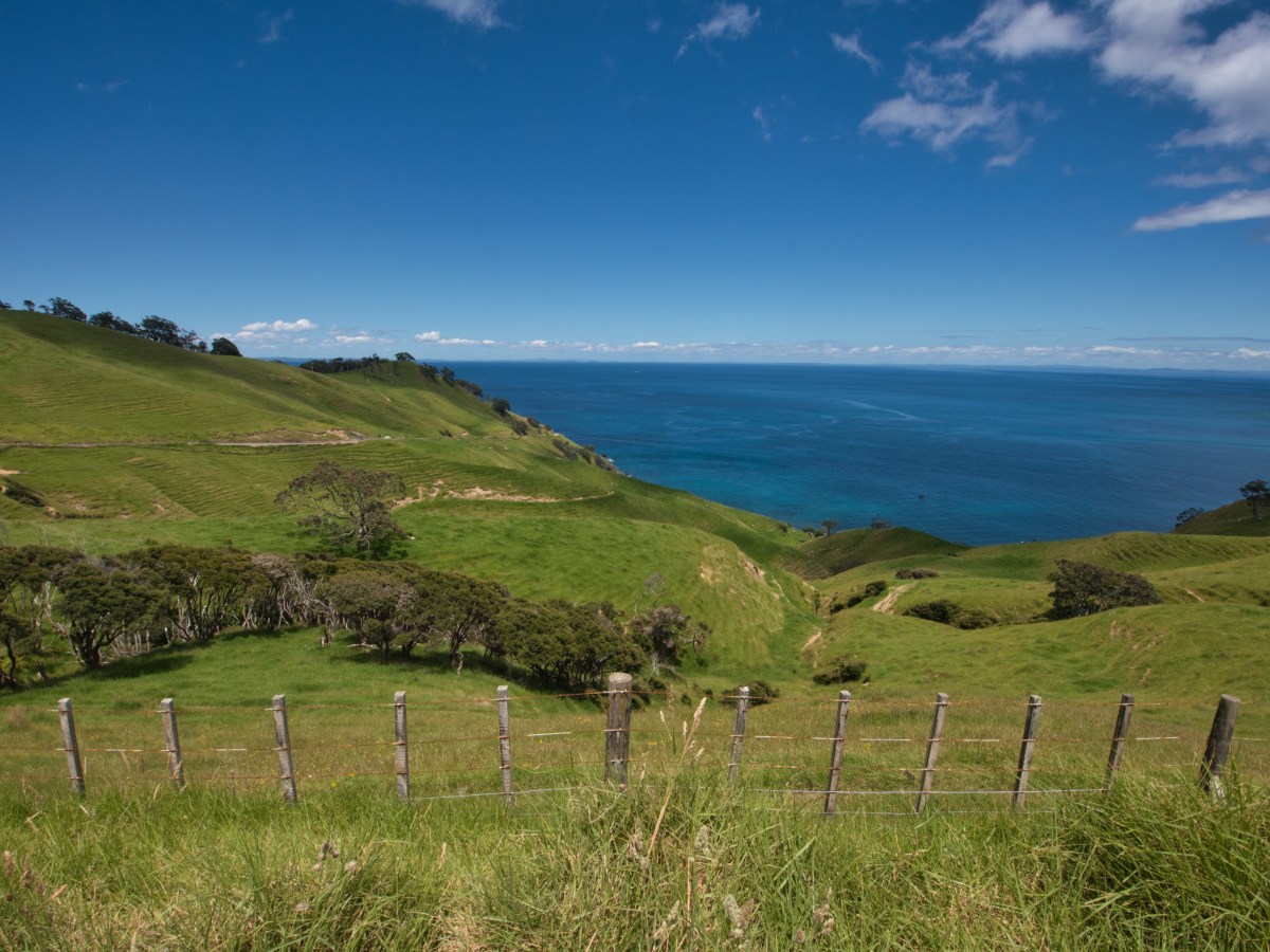 Von frechen Autovermietern und unbefestigten&nbsp;Straßen