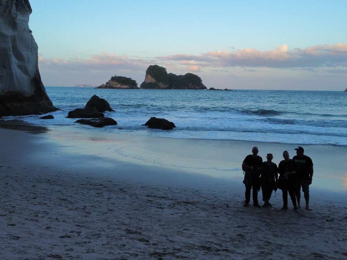 Vom Dschungel an den&nbsp;Strand