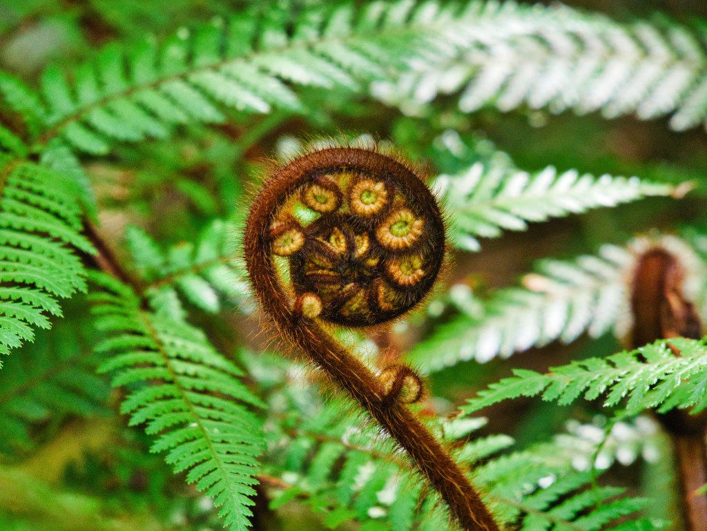 Wenn Pläne wie Mikadostäbchen&nbsp;umfallen