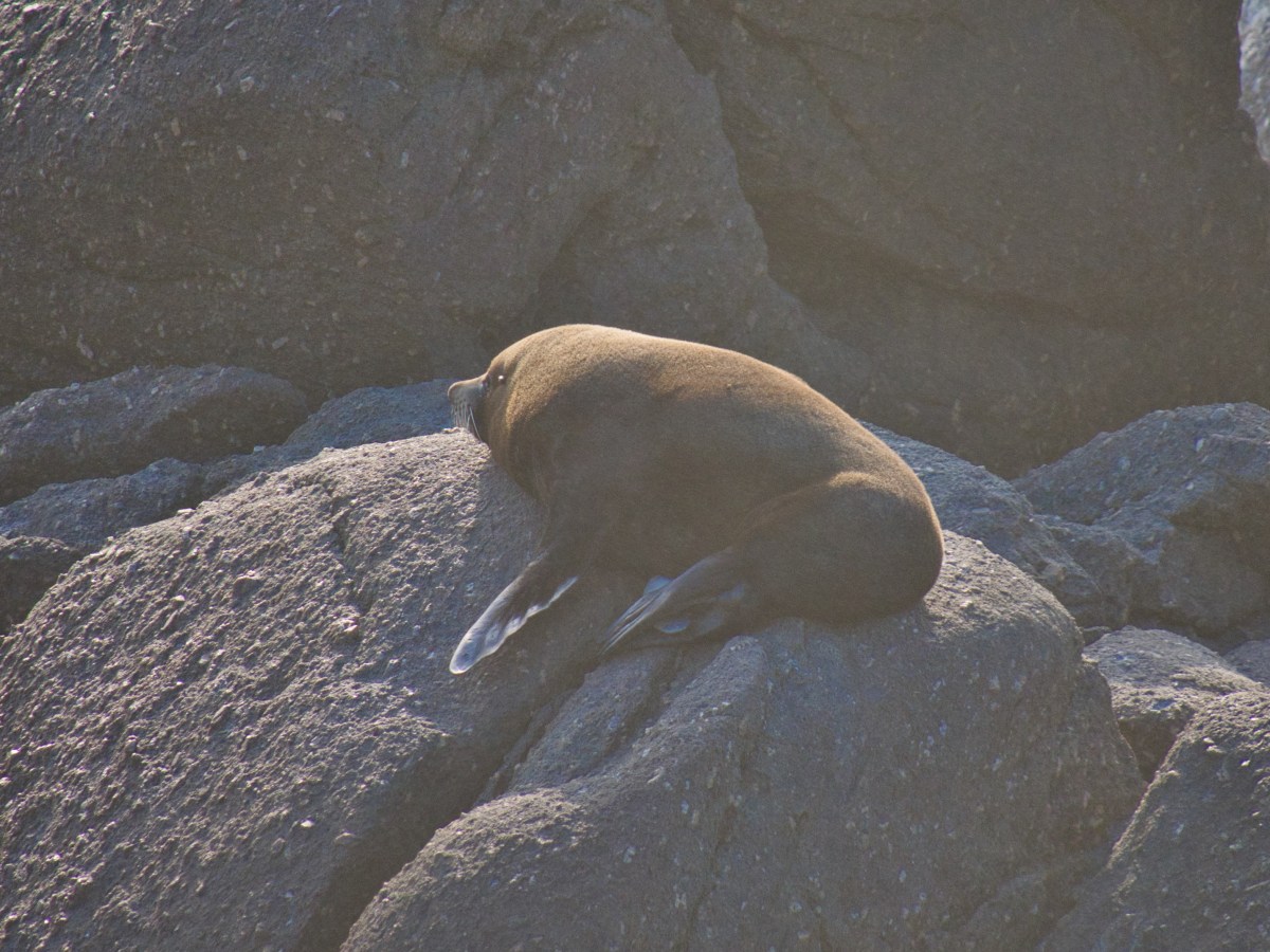 Lazy Days – Entspannte&nbsp;Tage