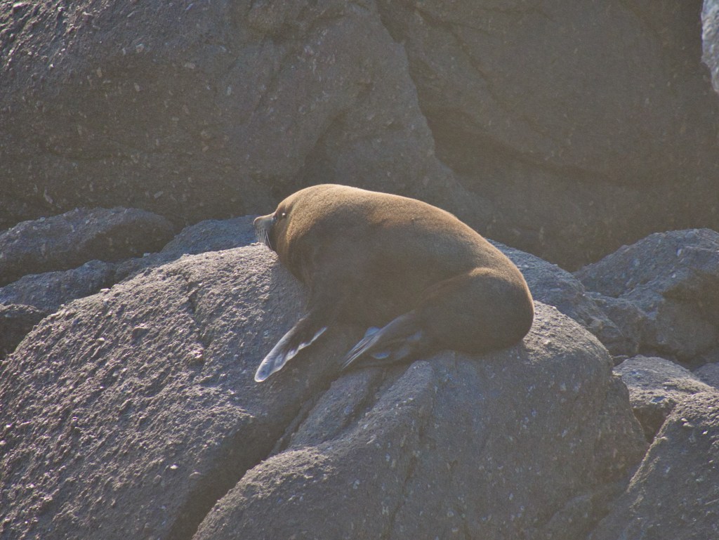 Lazy Days – Entspannte&nbsp;Tage