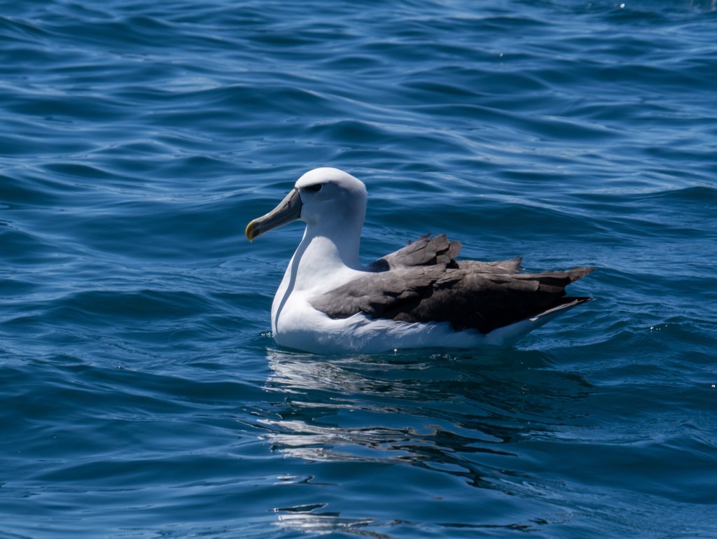 Groß – größer – am&nbsp;größten