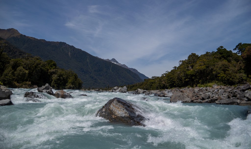 Fluss-Safari, die Farbe Lila und ne Happy&nbsp;Hour