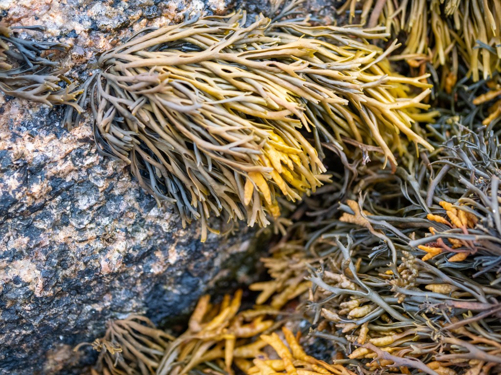 Auf verlorenem Posten